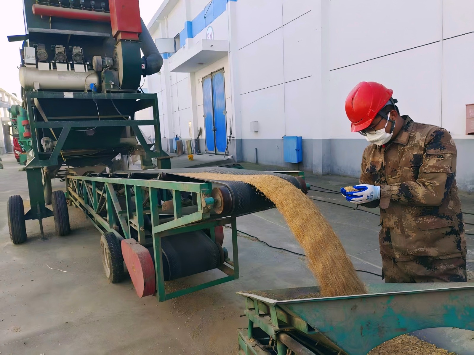 1763617657401 1763617657401