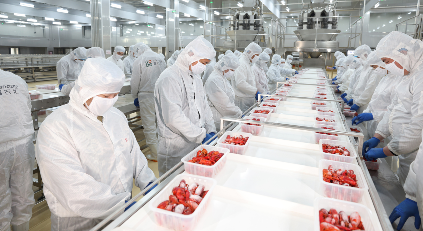 1765531274549 1765531274549